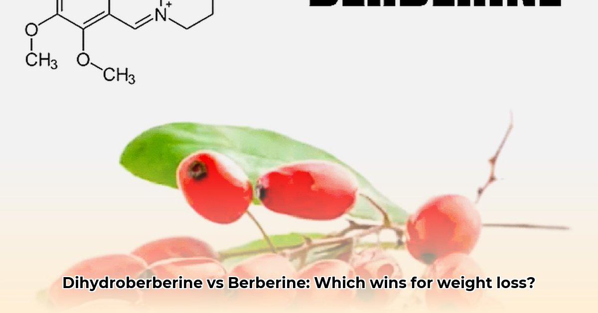 dihydroberberine-vs-berberine-for-weight-loss